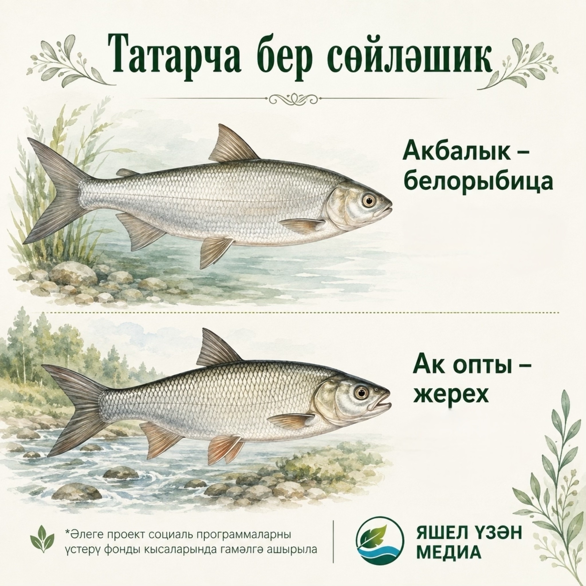 Карточка ясалма интеллект ярдәмендә ясалды