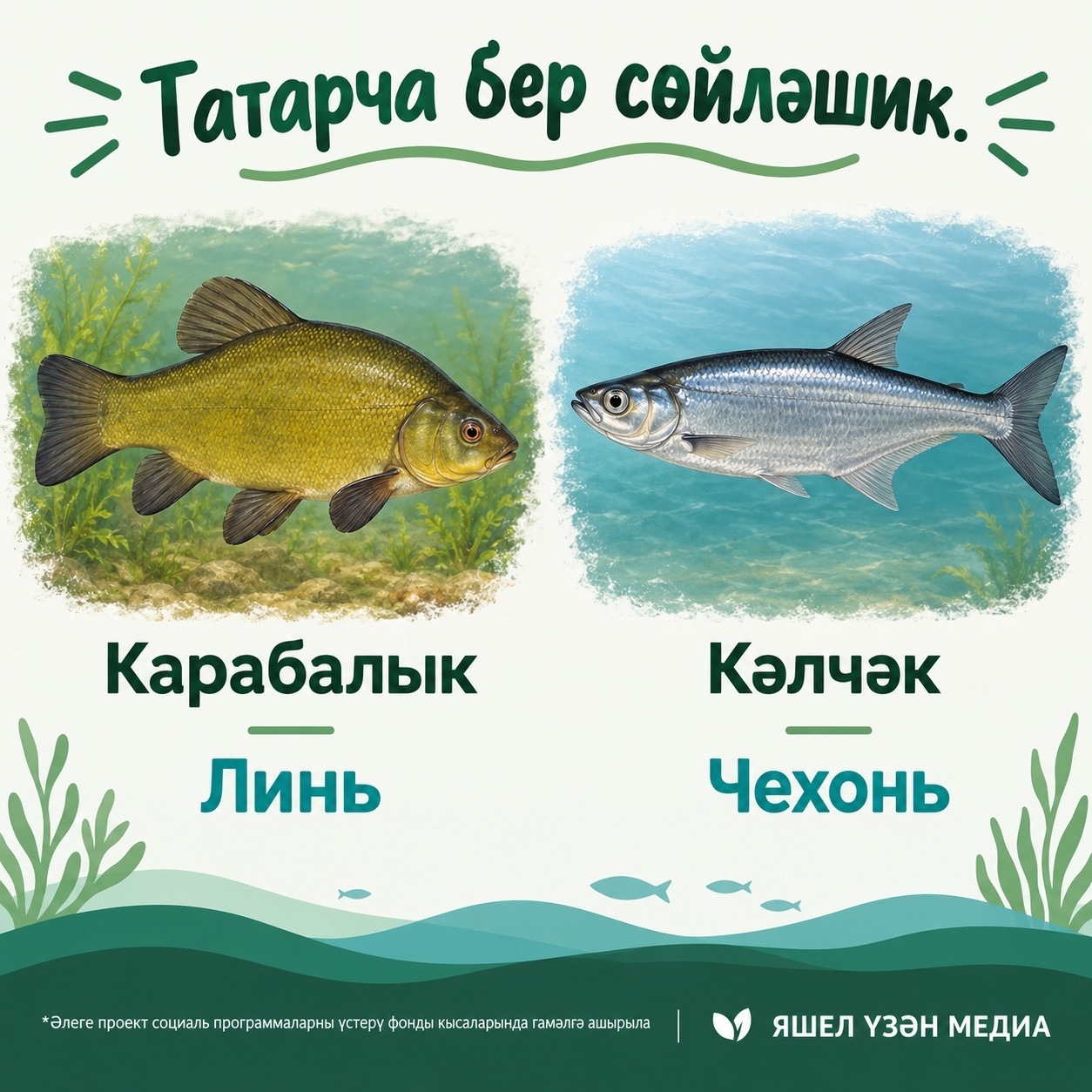Фото ясалма интеллект ярдәмендә ясалды