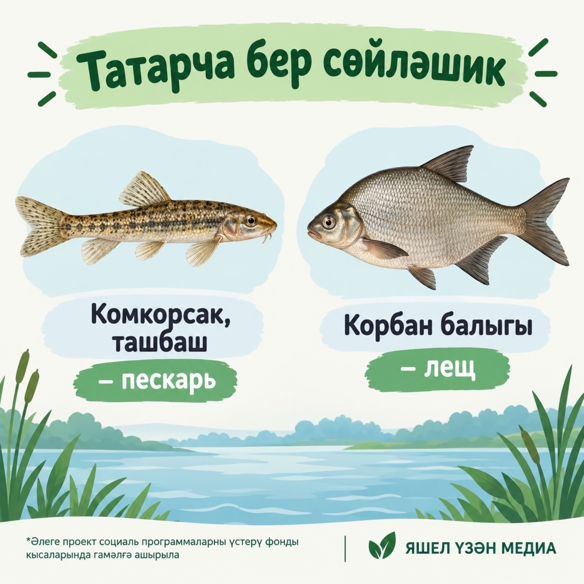 Фото ясалма интеллект ярдәмендә әзерләнде