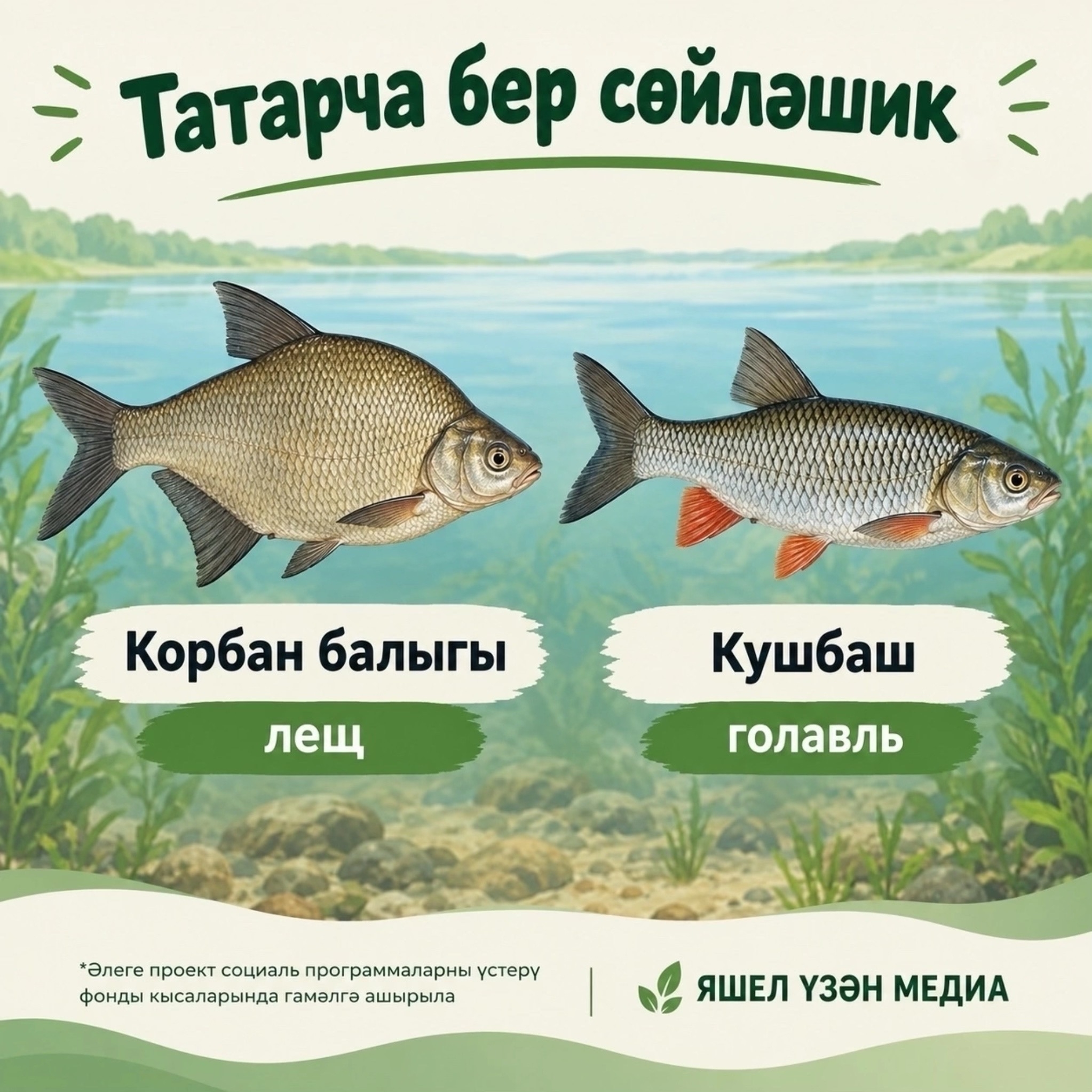 Карточка ясалма интеллект ярдәмендә эшләнде