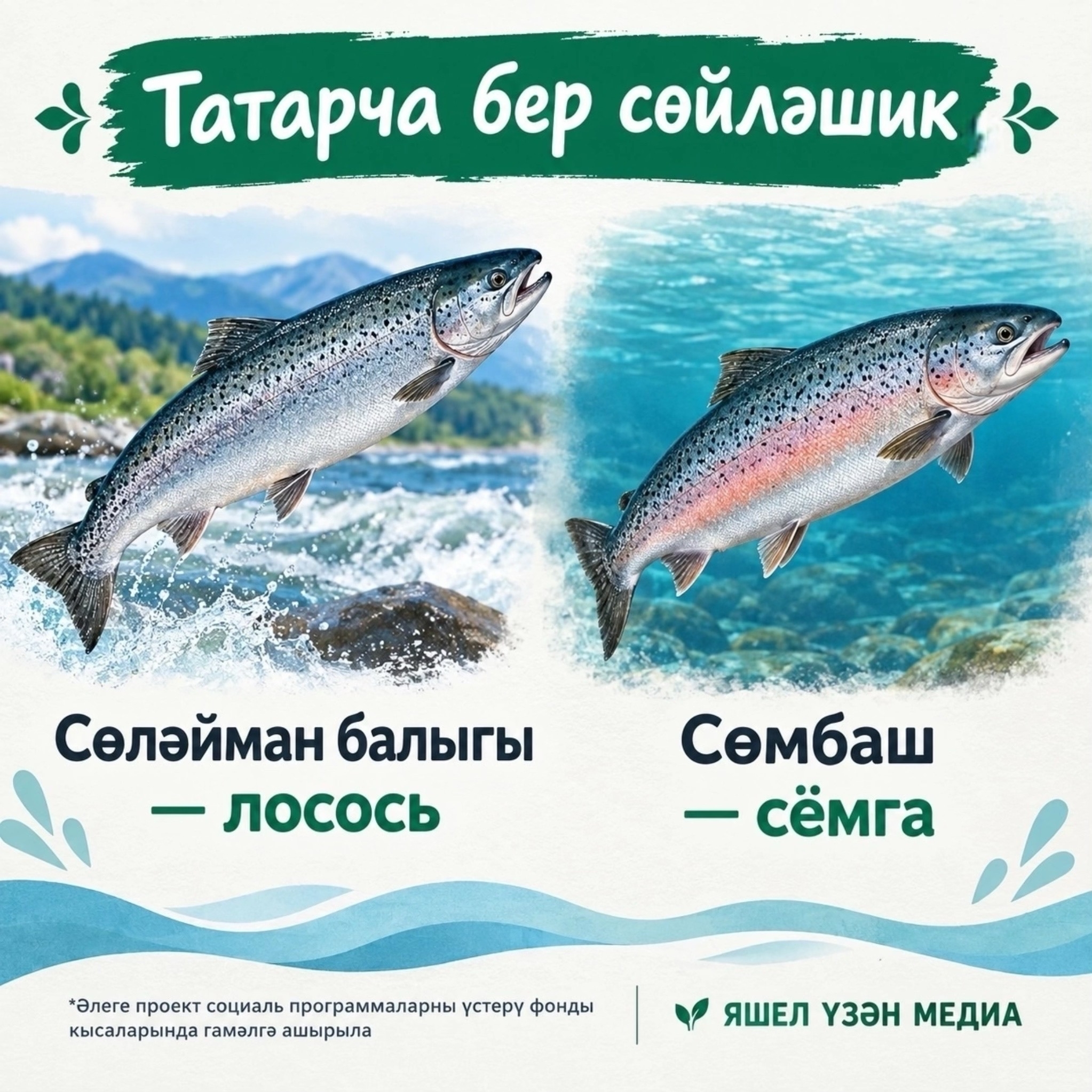Фото: ясалма интеллект ярдәмендә әшләнелде