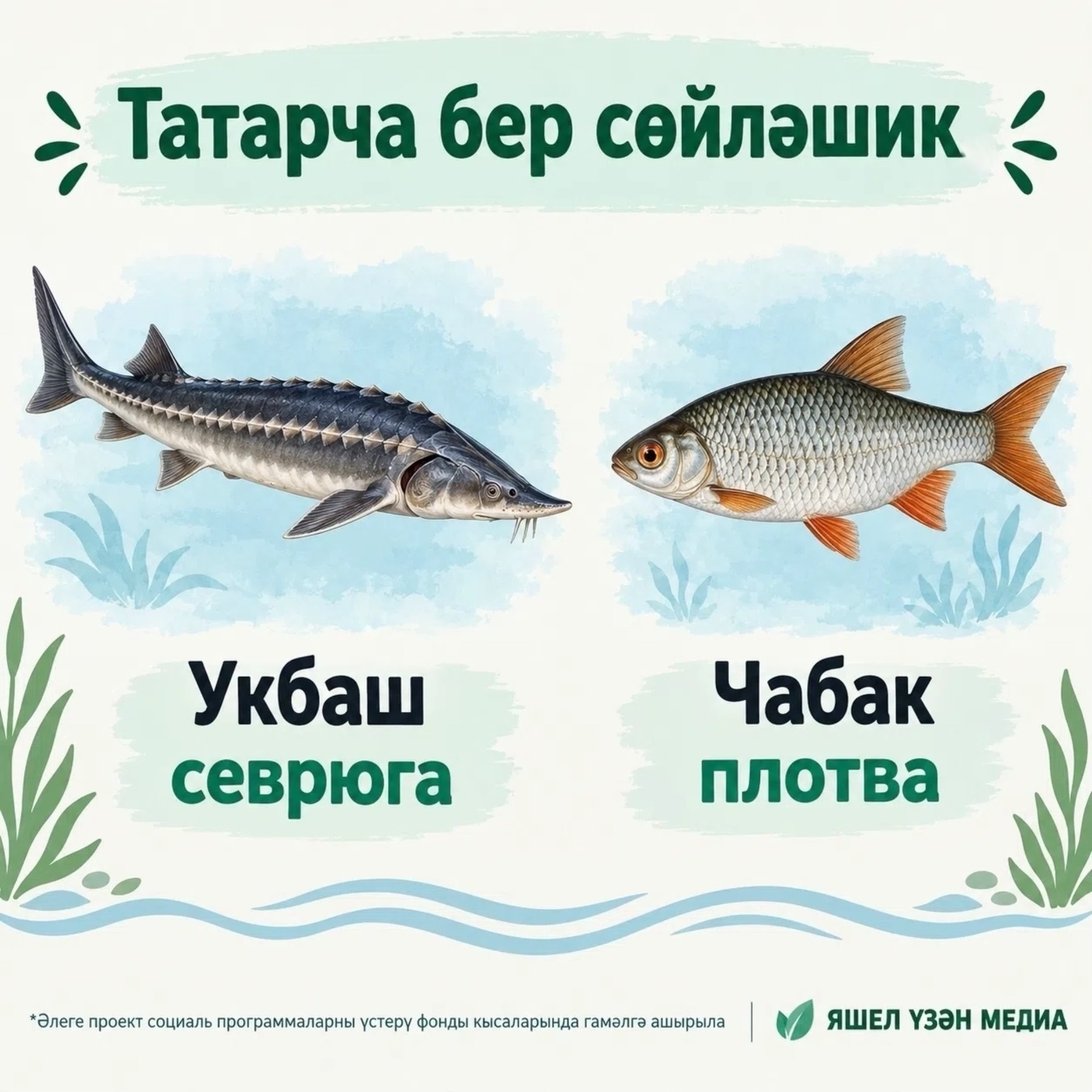 Фото: ясалма интеллект ярдәмендә әзерләнде