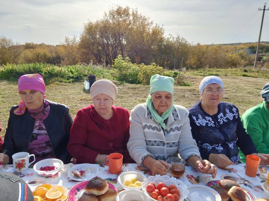 Карашәм авылында Өлкәннәр көне уңаеннан табигать кочагында бик матур очрашу уздырганнар