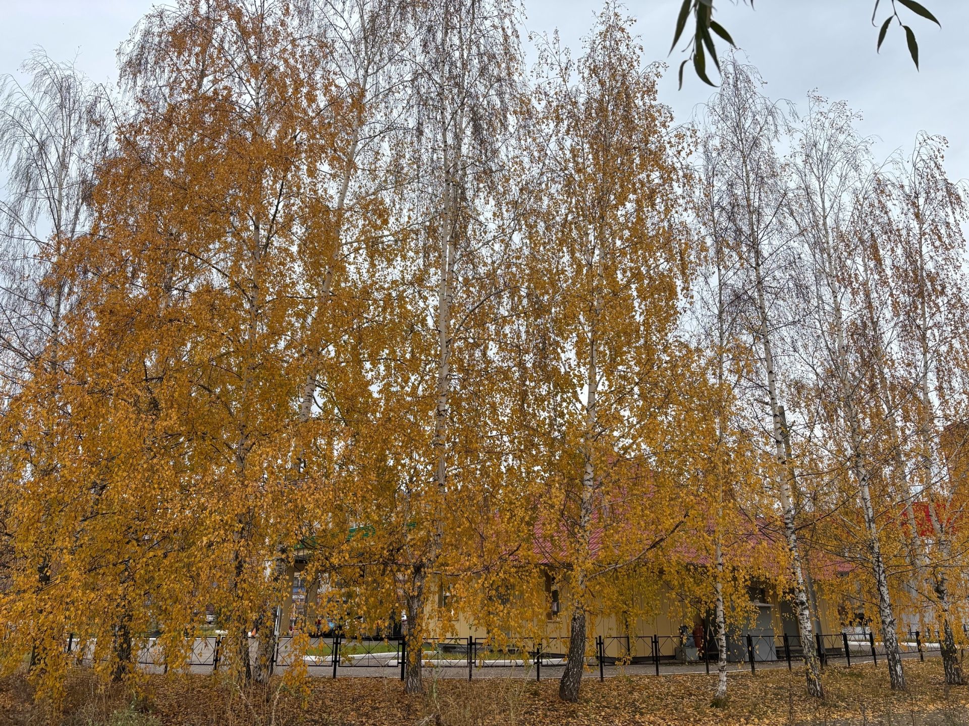 Татарстанда яшәүчеләрне көчле җил турында кисәттеләр