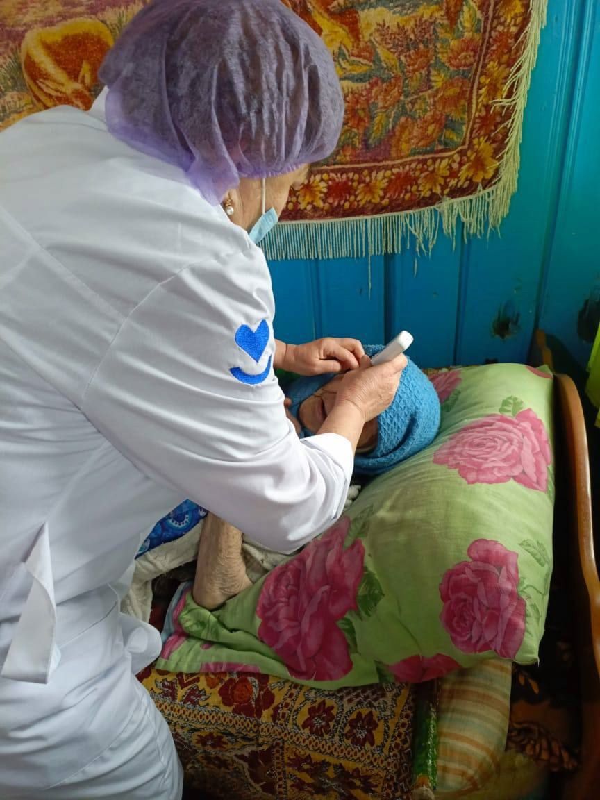 Медицина хезмәткәрләре Мамадыш-Әкил авылы ветераннарына диспансеризация үткәрде