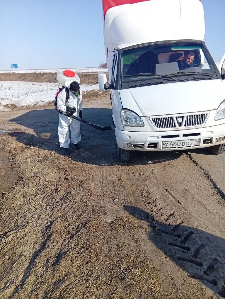 Куркыныч йогышлы авыруларның таралуын кисәтү: Яшел Үзәндә чит республикалардан килгән терлек транспортлары махсус тикшерелә