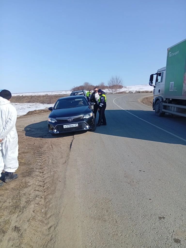 Куркыныч йогышлы авыруларның таралуын кисәтү: Яшел Үзәндә чит республикалардан килгән терлек транспортлары махсус тикшерелә