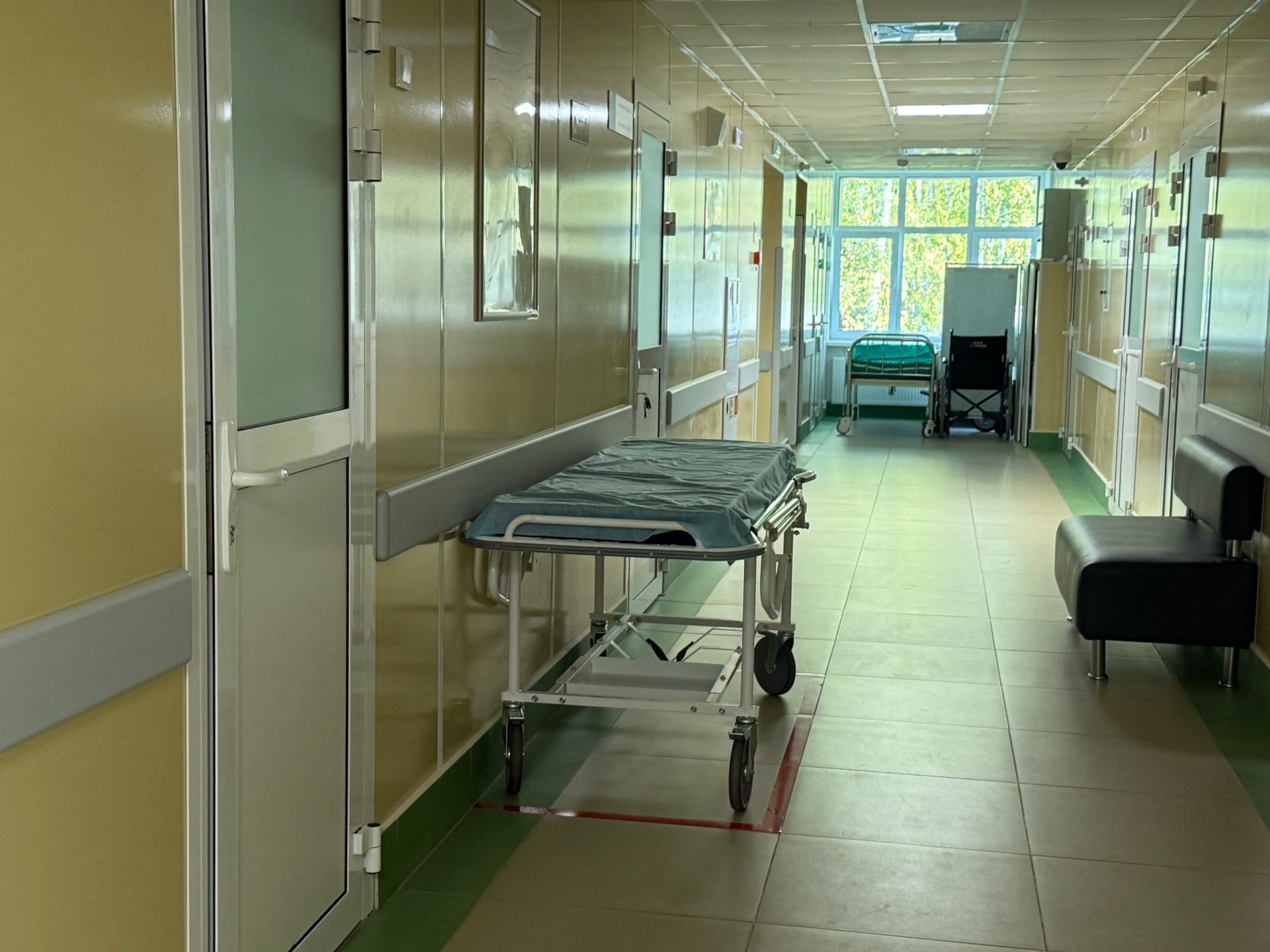 Татарстанда талпаннар активлашты: беренче тешләү очраклары Яшел Үзән, Казан, Әлмәт районнарында теркәлде