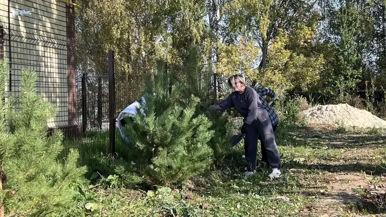 Олы Карагуҗа авылы җирле үзидарәсенә төзелгән яңа бина әйләнәсенә яшь наратлар утырттылар
