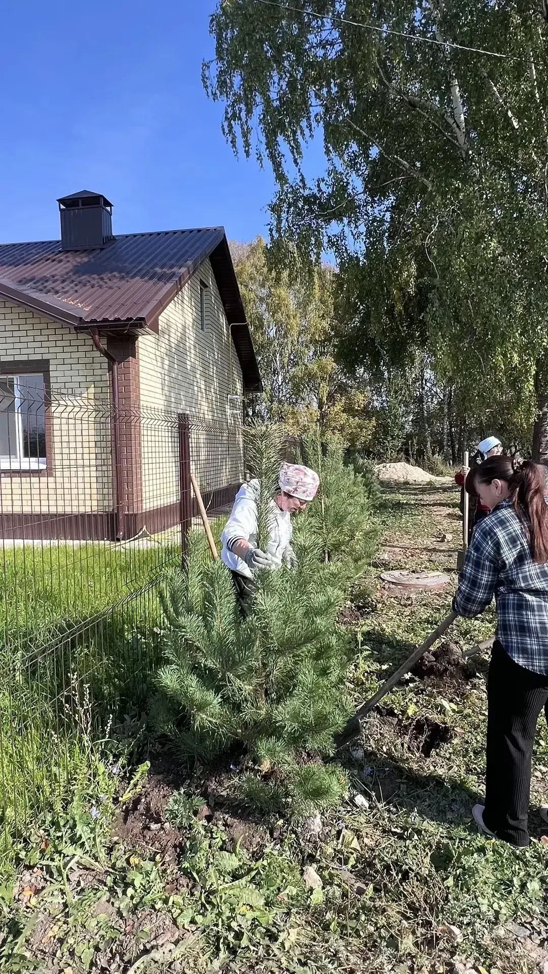 Олы Карагуҗа авылы җирле үзидарәсенә төзелгән яңа бина әйләнәсенә яшь наратлар утырттылар