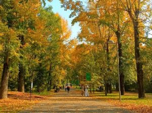 24 сентябрьгә һава торышы