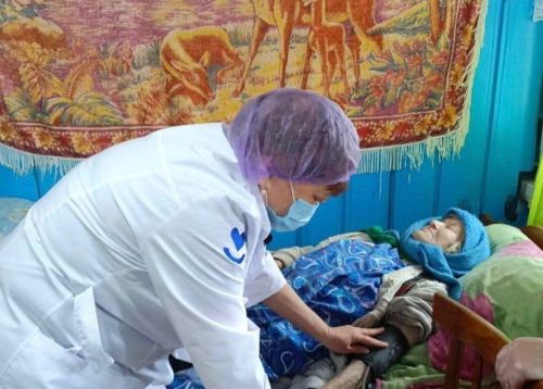 Медицина хезмәткәрләре Мамадыш-Әкил авылы ветераннарына диспансеризация үткәрде