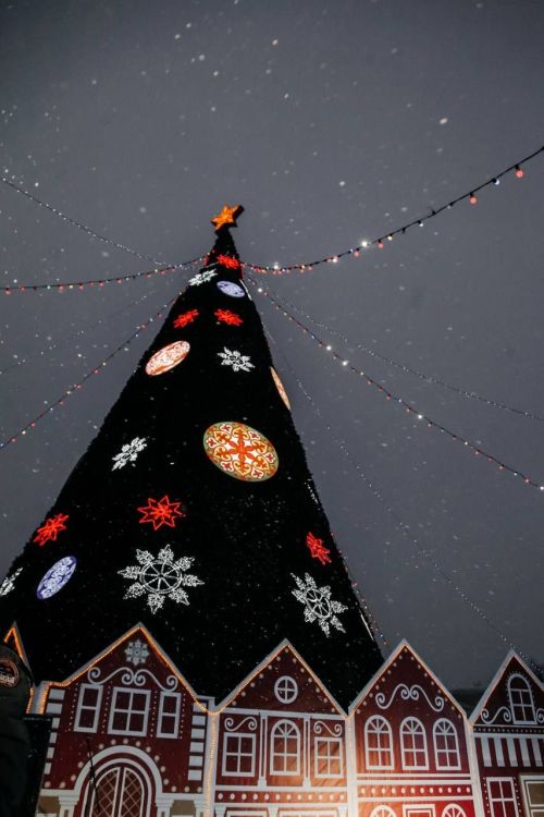 Иртәгә, 21 декабрьдә, «Авангард» стадионында төп Чыршы ачылачак