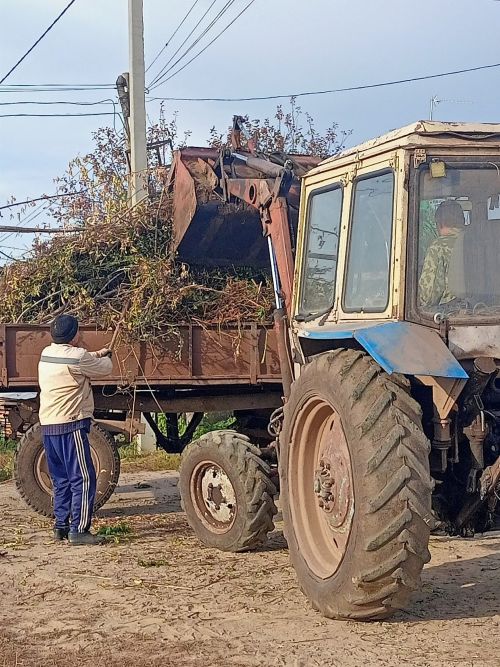 Олы Шырдан авылында өмәләр гөрли