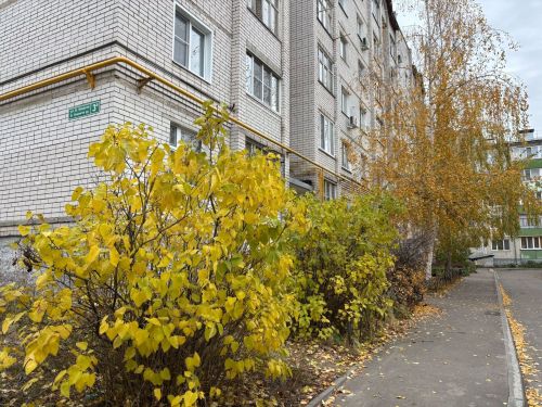 29 октябрьгә һава торышы