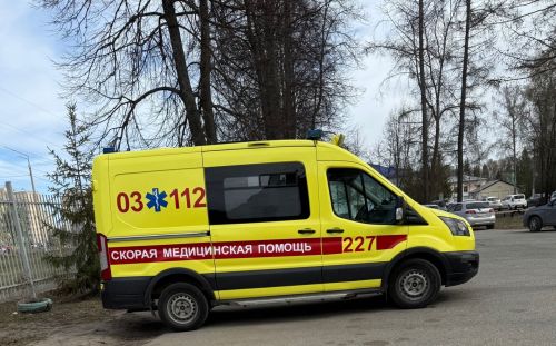 «Кышын өйгә дә кертмәгән»: улы 74 яшьлек әнисен үтергән