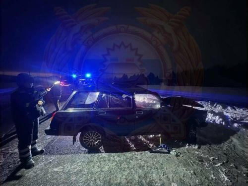 Җиңел машина йөртүчесе карлы юлда бозауны бәрдереп, һәлак булган