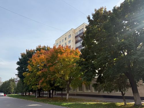 Татарстанда октябрь уртасында һава торышы нормадан биш градуска җылырак булачак