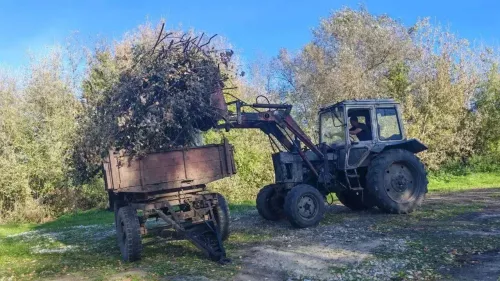 Олы Шырдан мәдәният йорты тирәсендә өмәләр дәвам итә