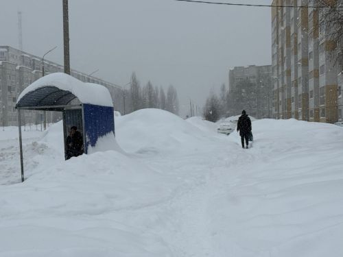Синоптик Тишковец Татарстанда кар көртләренең биеклеге 95 см га җитте, дип белдерде