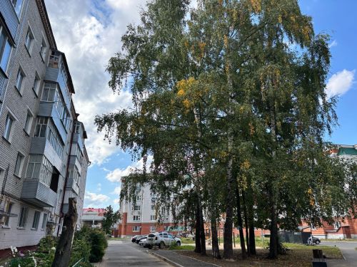 7 сентябрьгә һава торышы