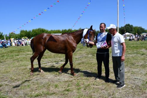 Татар Танаенда авыл көне 2026