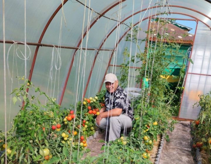 Теплицаны кышка әзерлибез