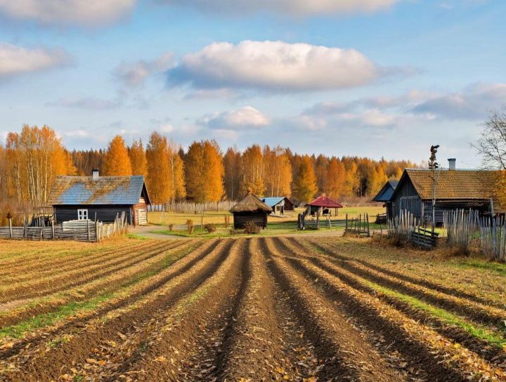 Бакчаны көзге эшкәртү