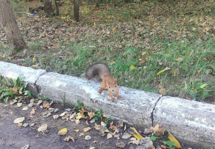 28 сентябрьгә һава торышы
