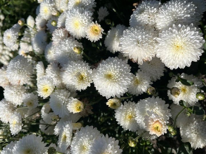 6 сентябрьгә һава торышы