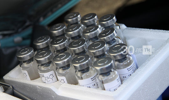 Вирусолог: Covid-19 - вакцина белән бәйле куркынычлардан мең тапкыр куркынычрак