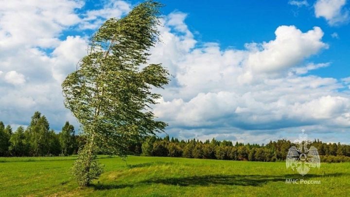 Россия Гадәттән тыш хәлләр министрлыгының ТР буенча баш идарәсе көчле җил турында кисәтә