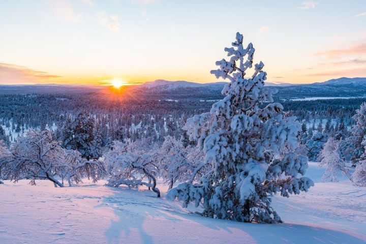 Гыйнвар аена сынамышлар һәм ышанулар