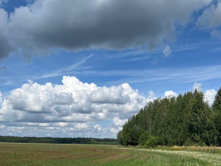 30 июньгә һава торышы