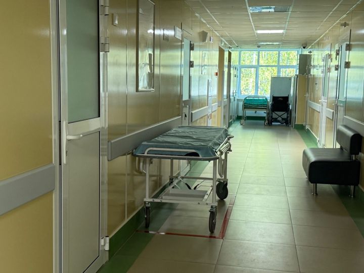 Татарстанда талпаннар активлашты: беренче тешләү очраклары Яшел Үзән, Казан, Әлмәт районнарында теркәлде