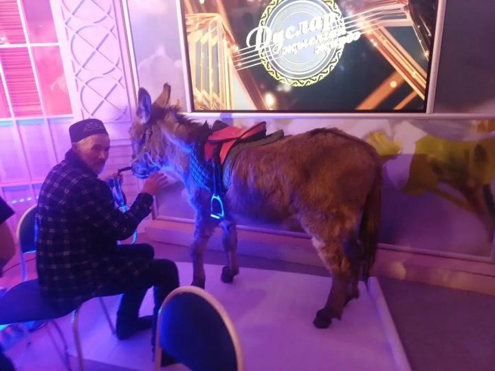 Яшел Үзән районы ТНВ телеканалының «Дуслар җыелган җирдә» проектында катнашты