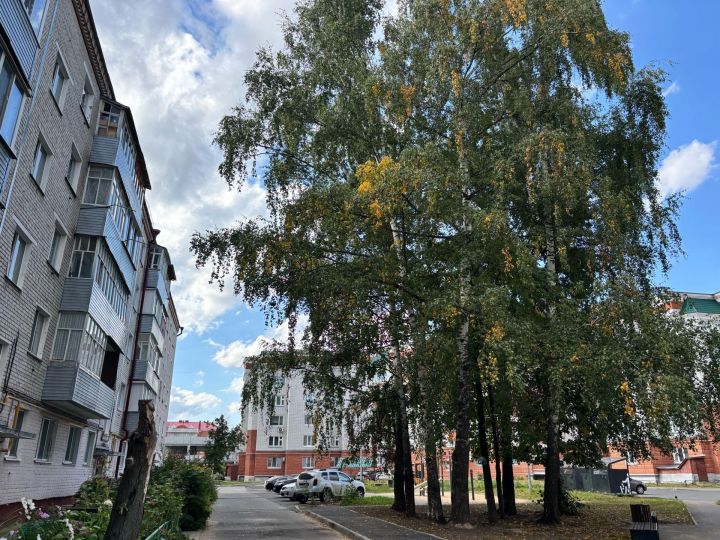 7 сентябрьгә һава торышы