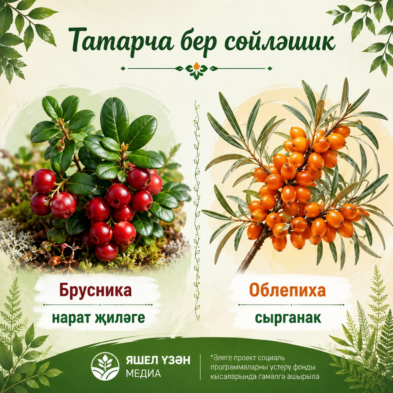 Карточка ясалма интеллект программасы ярдәмендә ясалды