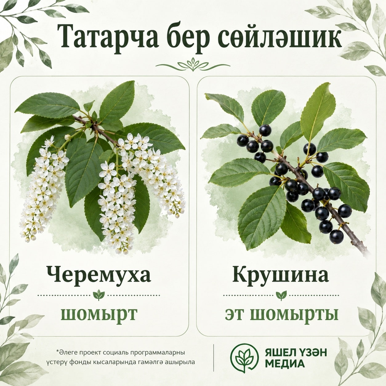 Карточканы Рәзилә Хәйретдинова әзерләде.