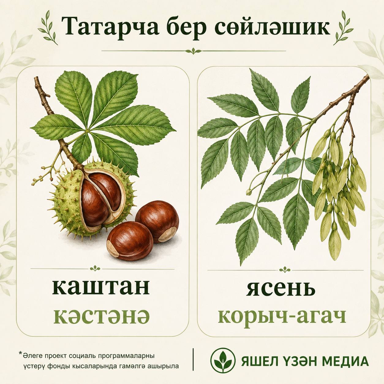  Карточканы Рәзилә Хәйретдинова әзерләде.