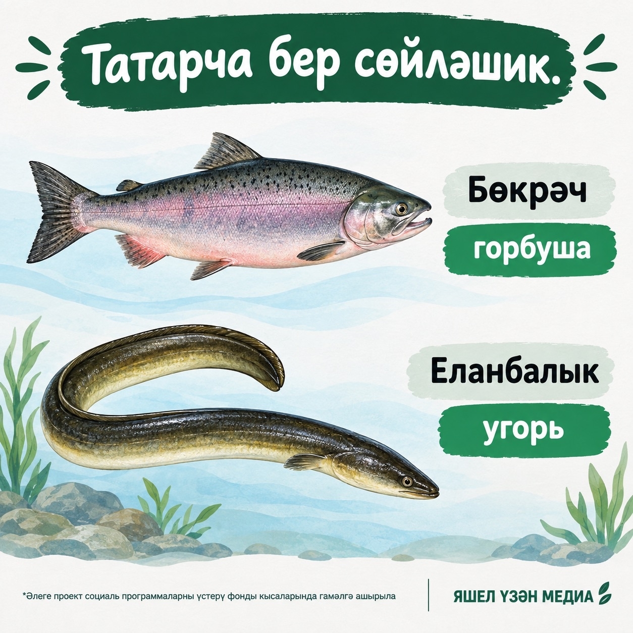 Фото: ясалма интеллект