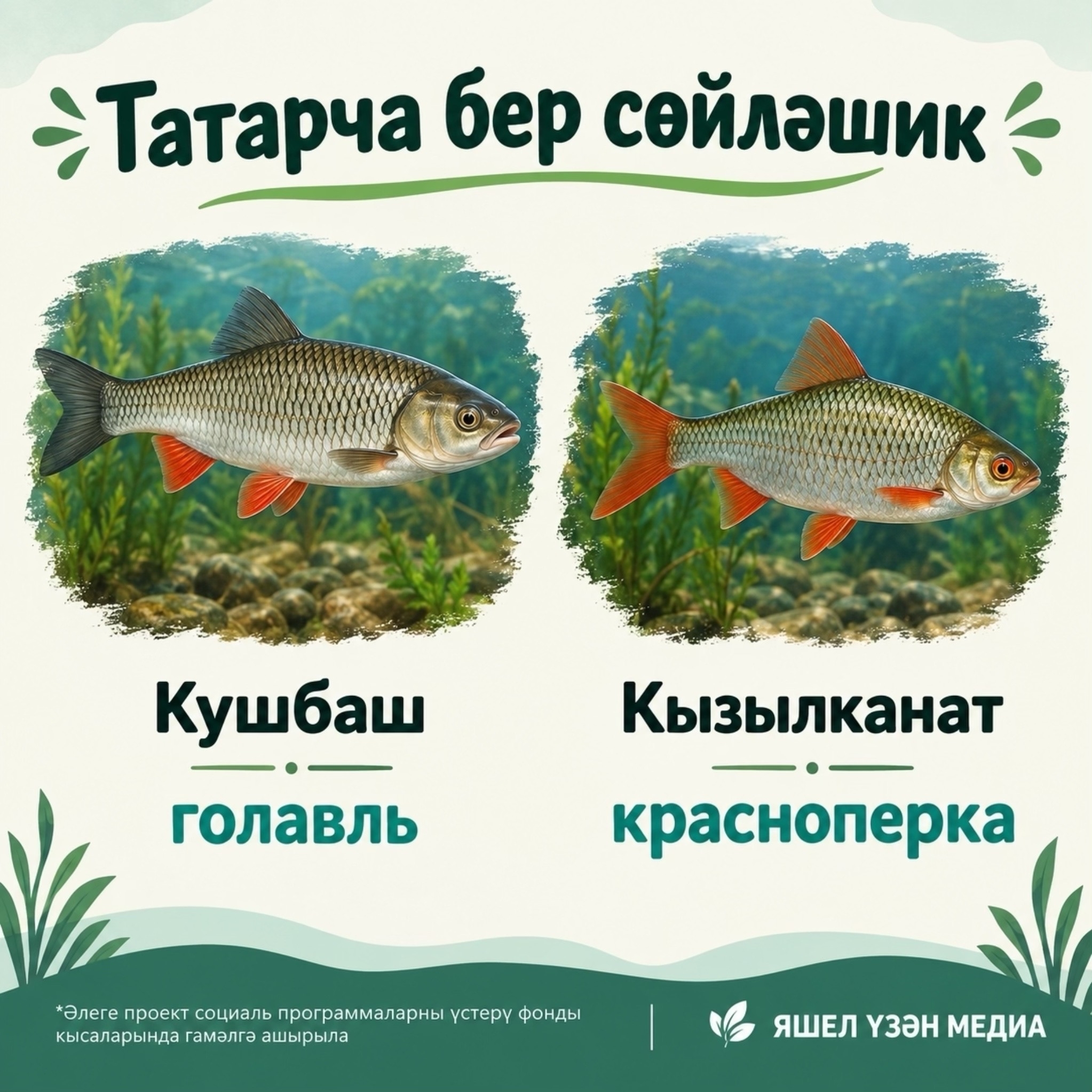 Фото ясалма интеллект ярдәмендә әзерләнде