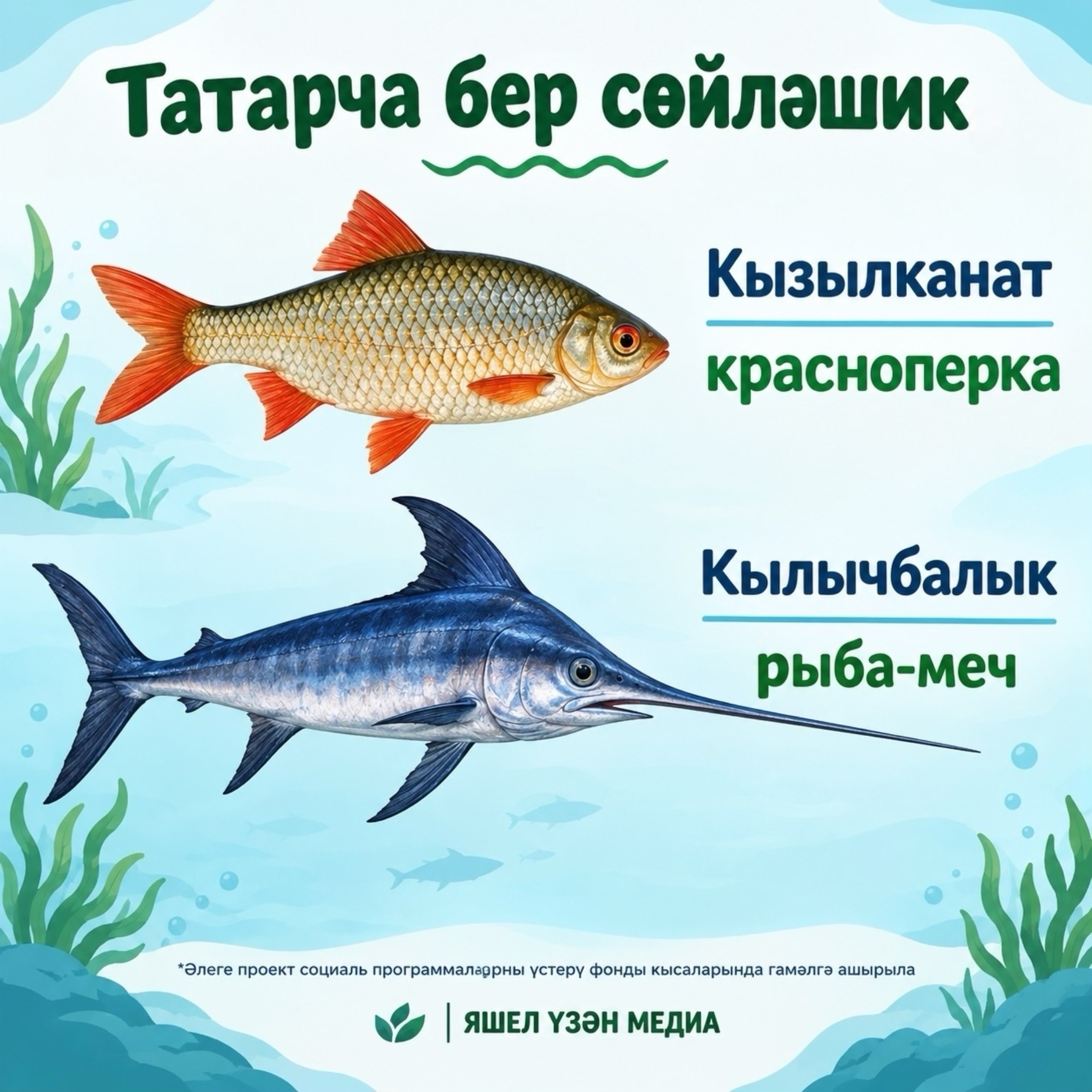 Фото: ясалма интеллект