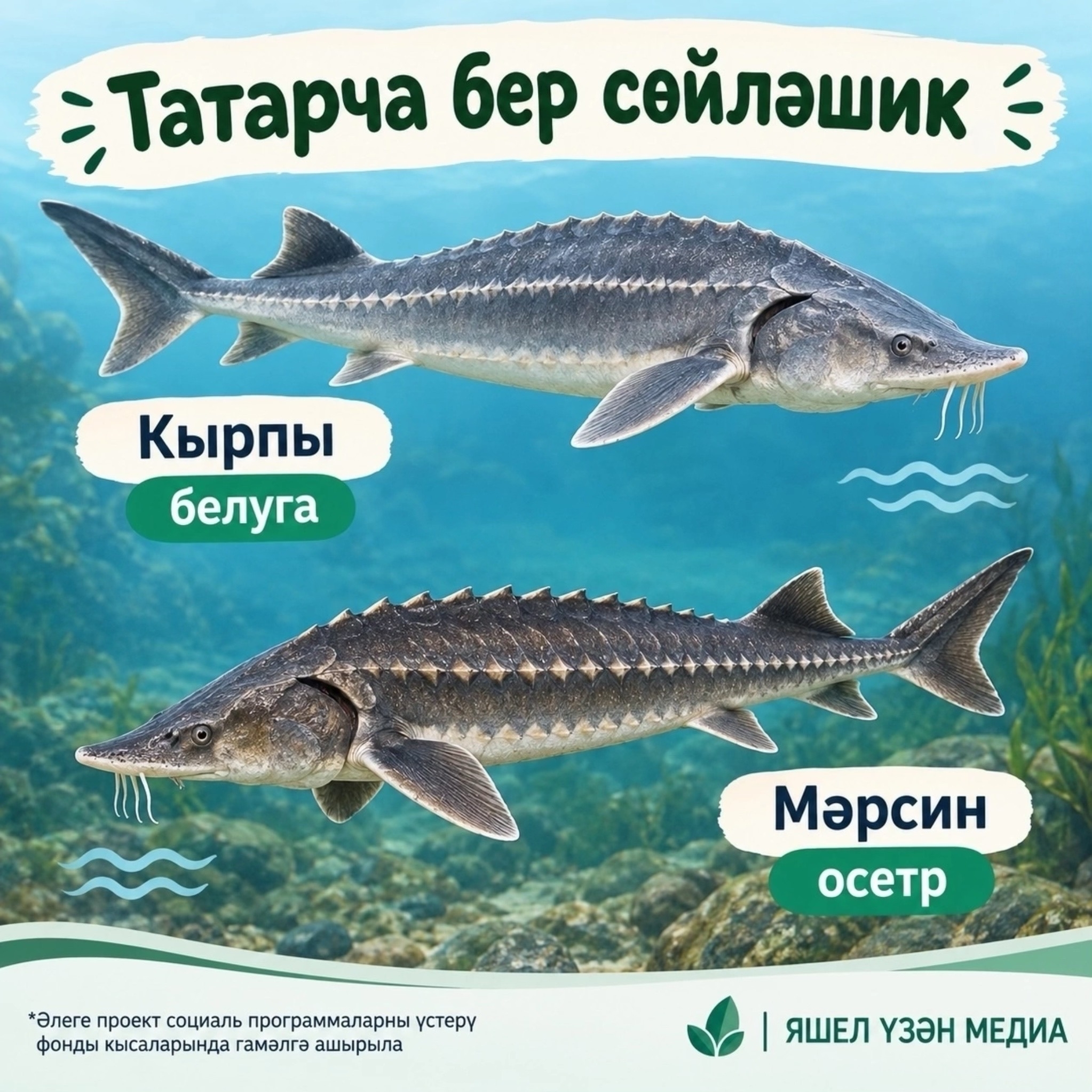 Фото: ясалма интеллект программасы ярдәмендә әзерләнде