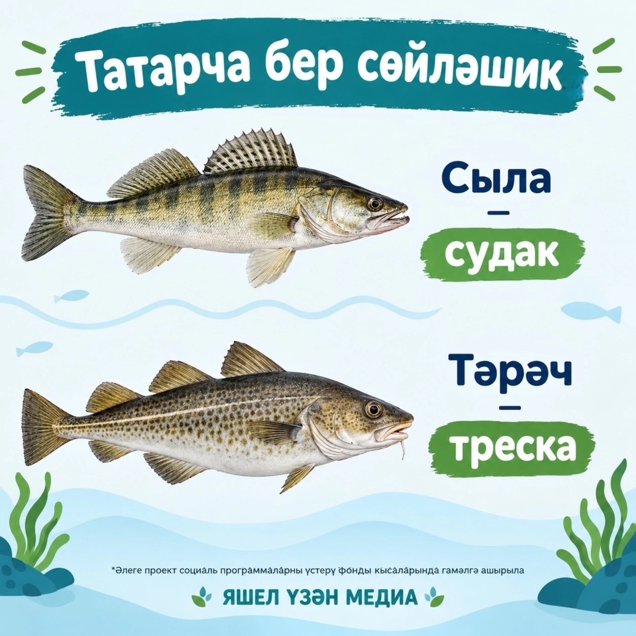 Фото: ясалма интеллект программасы ярдәмендә ясалды