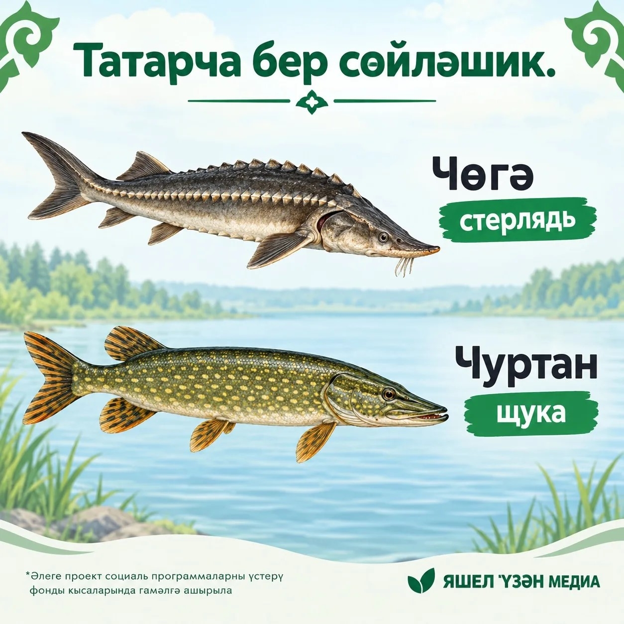 Фото: ясалма интеллект ярдәмендә эшләнелде