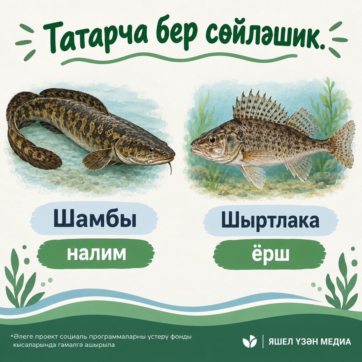 Фото: ясалма интеллект ярдәмендә әзерләнде