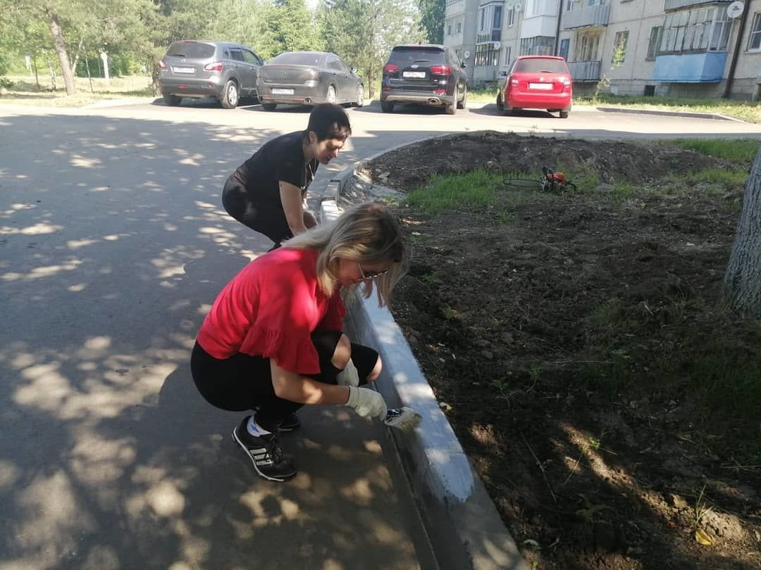 "Безнең ишегалды" программасына эләккән Васильево шәһәр ишегалларын 200 спирея куагы бизи