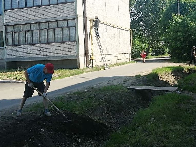 "Безнең ишегалды" программасына эләккән Васильево шәһәр ишегалларын 200 спирея куагы бизи