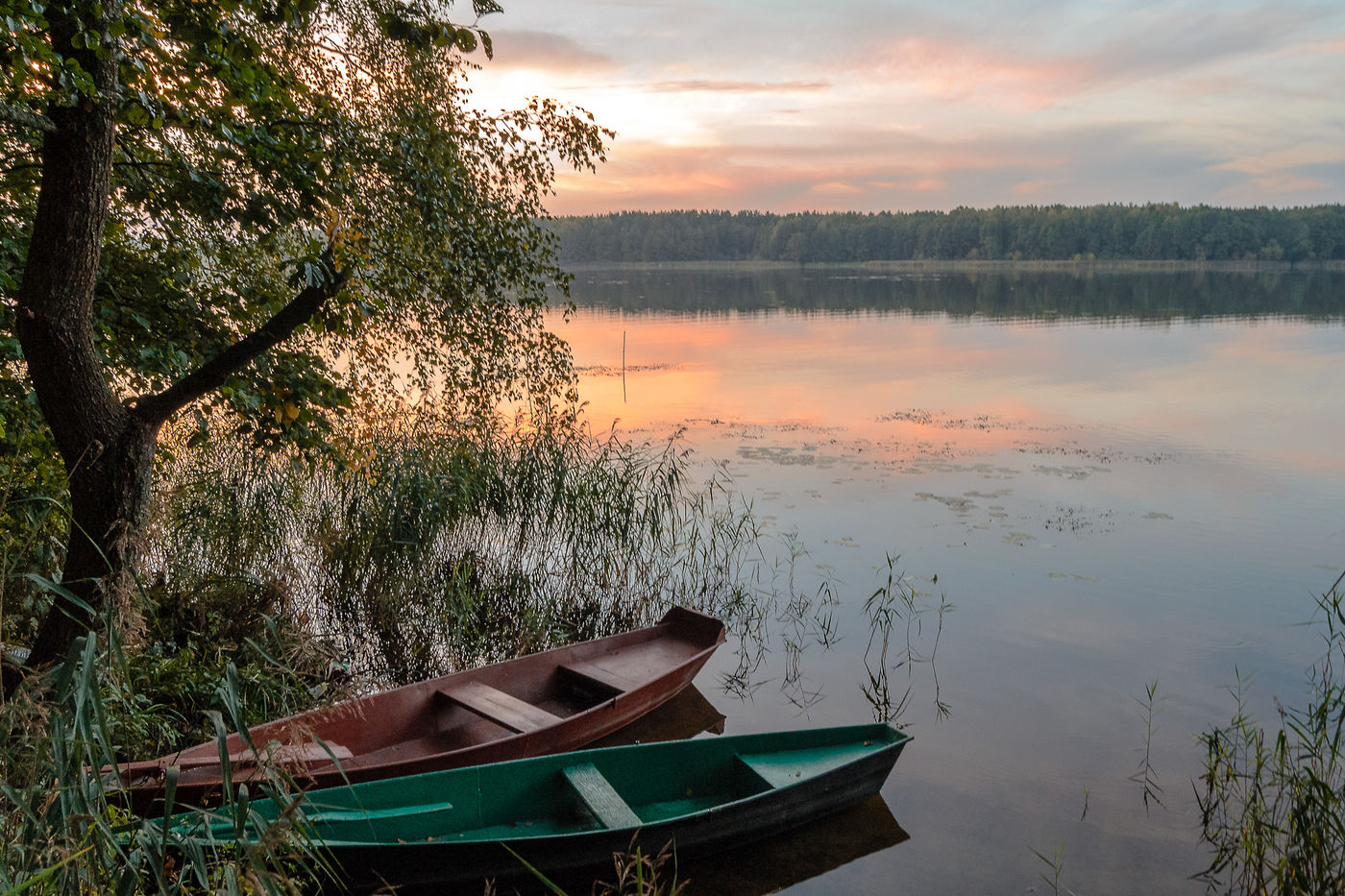 Белые берега брянск. Белобережское водохранилище Брянск. Белые берега Брянск озеро. Белобережское озеро в Брянске. Белые берега Брянск водохранилище.